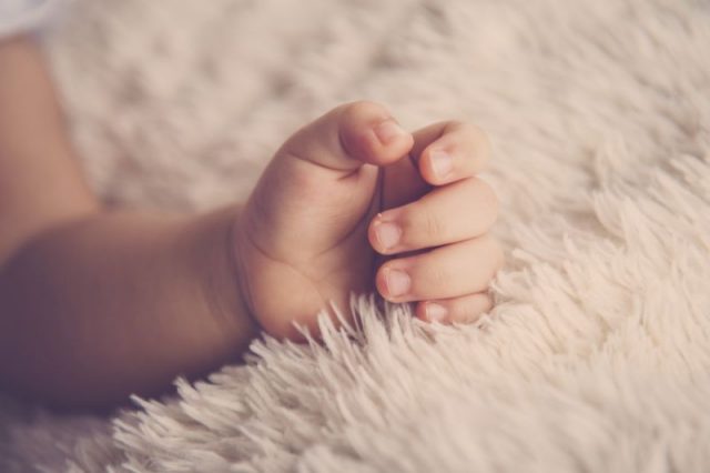 Artificial Wombs are Being Designed to Help Premature Babies