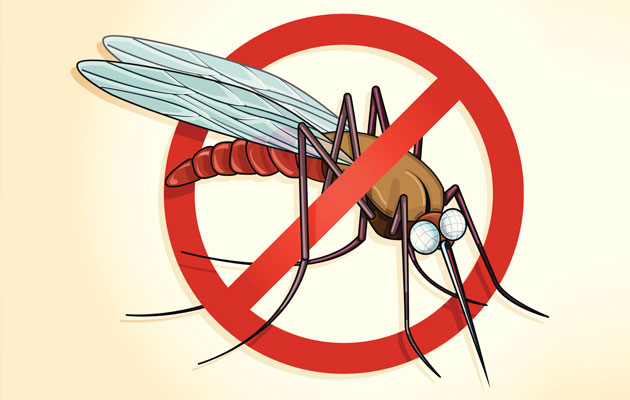 The Fight to Stop Malaria and Its Problems