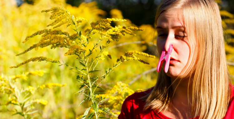 Spring Allergies and What Foods to Eat and Avoid When Combating it