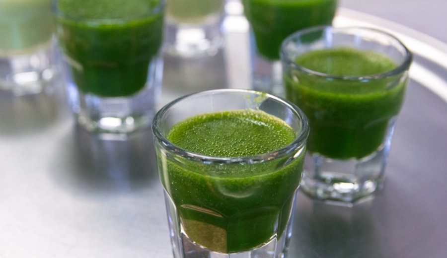 Wheatgrass Shot – Fountain of Eternal Youth