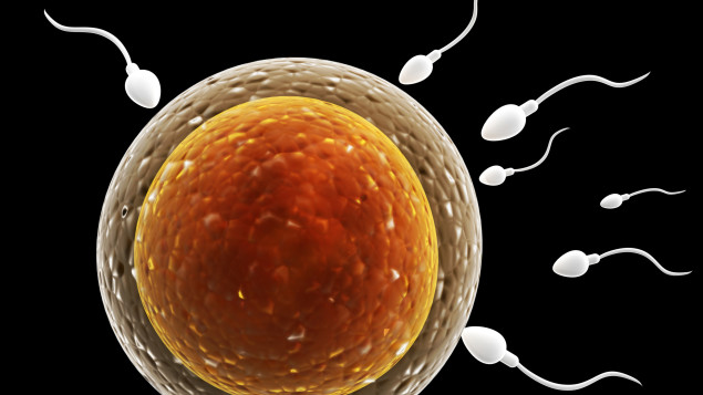 A new cause of female infertility