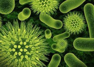 Anti-Bacteria Defensive Mechanism Discovered by Swedish Researchers