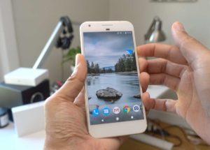 Animal Paws, the new features present in the latest Google build