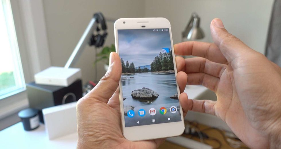 Animal Paws, the new features present in the latest Google build