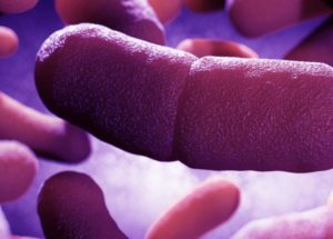 Things You Need to Know About Human Plagues and How to Avoid Them