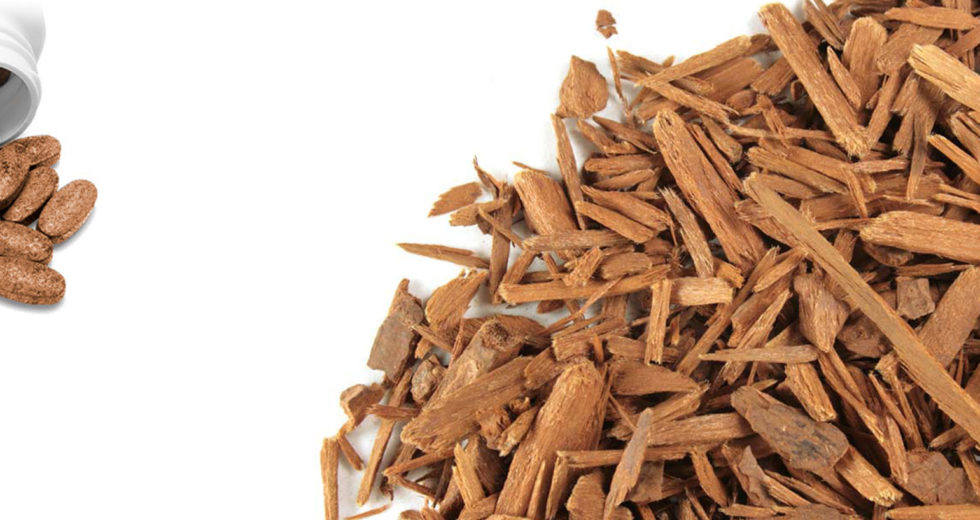 This Dangerous Herb Is A Potential Threat To Our Health But People Are Still Consuming It