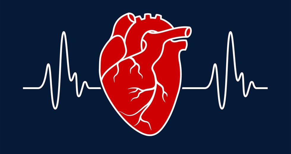 Canadian Researchers Found a Protein Which Will Treat Heart Failure