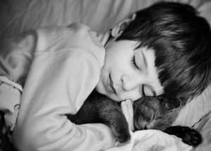 If You Have Kids You Might Want To Reconsider Getting A Cat