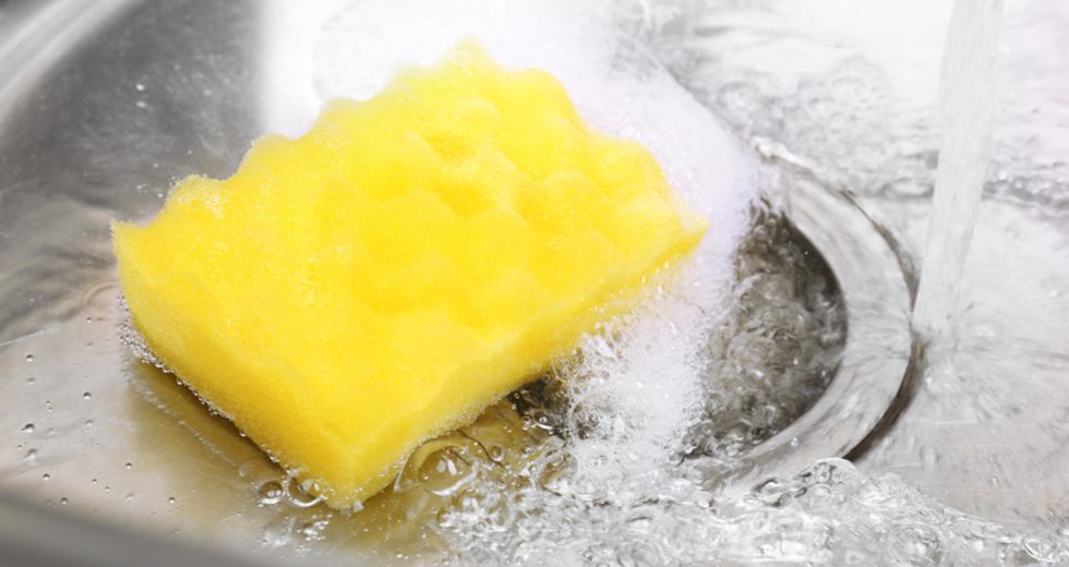 Your Dirty Kitchen Sponge Can Actually Make Your Family Sick