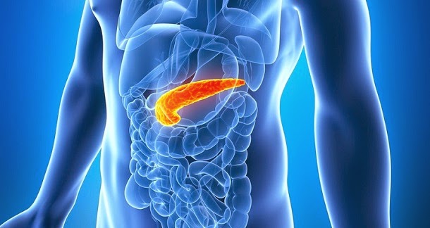 Spot Early Signs Of Pancreatic Cancer By Trying This App