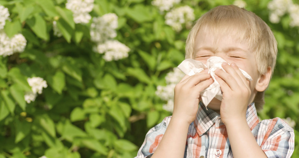 How To Handle Allergies With Natural Remedies
