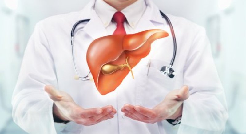The Best Natural Treatments And Medicinal Plants For Liver Detoxification