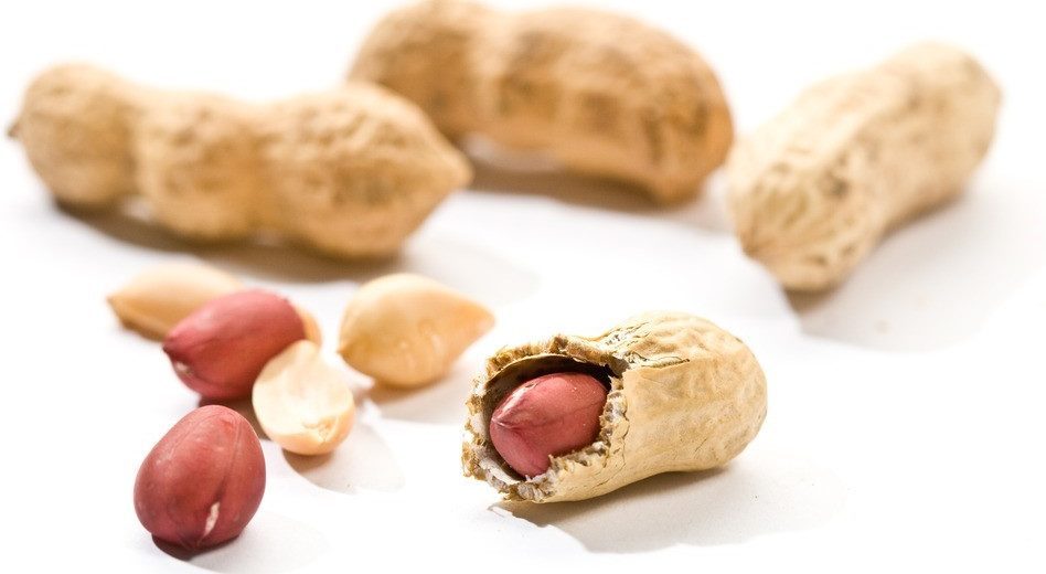 Peanut Allergy Treatment Discovered