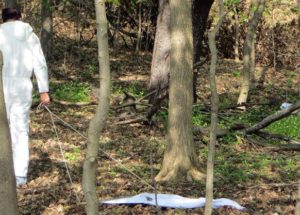 Multiple Cases of Lyme Disease Connected to Rouge Valley