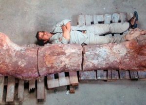 This Is How The Biggest Dinosaur Ever Looked Like According To This Discovery