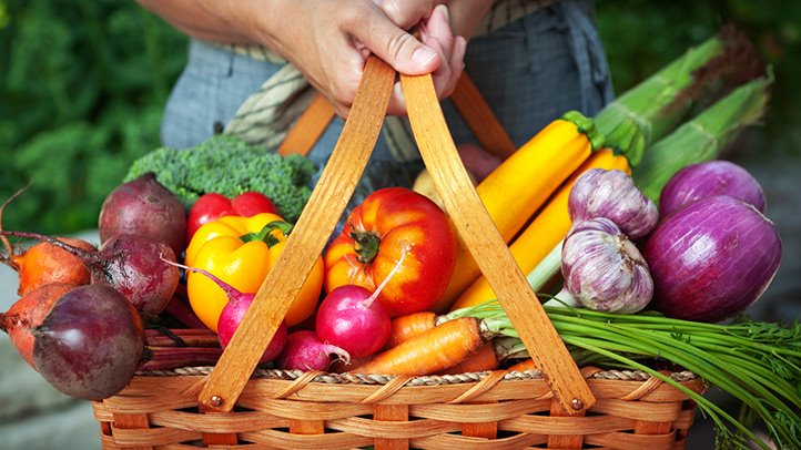 Is Being Vegan The Smarter Choice?