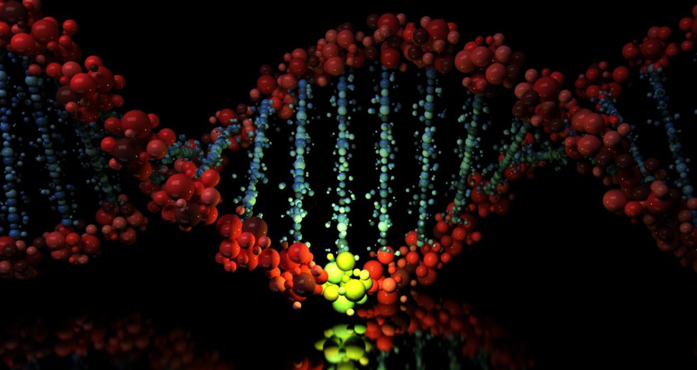 Genetic Mutations Are Passed On From Fathers Rather Than Mothers