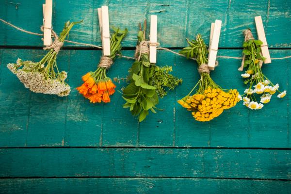 Herbs and Natural Remedies That Fight Against All Types Of Cancer