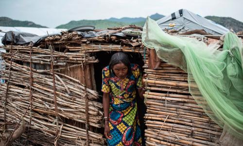 Researchers Identified A Form Of Malaria Parasite That Spreads From Howler Monkeys To Humans