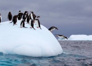 A Mysterious Geothermal Blanket under Antarctica Warms the Ice Cap