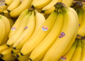 Bananageddon: Bananas could disappear from the market
