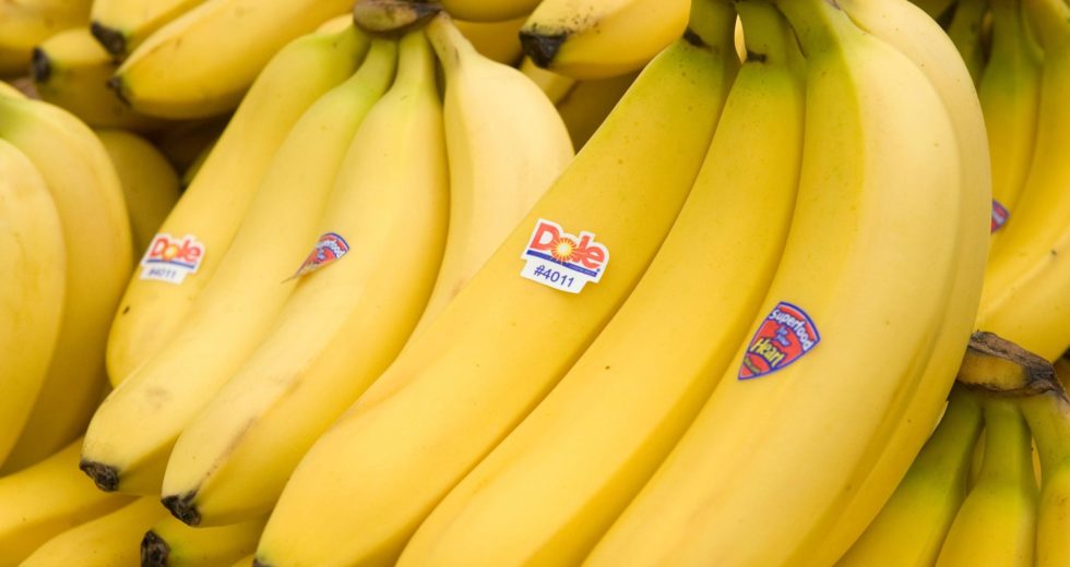 Bananageddon: Bananas could disappear from the market