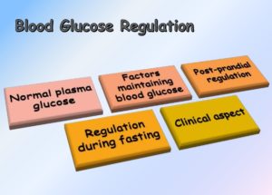 Blood Glucose Levels – What Are The Normal Readings?