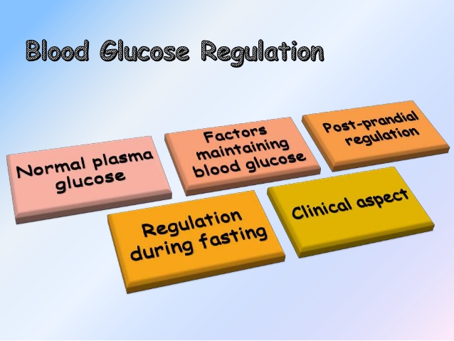 Blood Glucose Levels – What Are The Normal Readings?