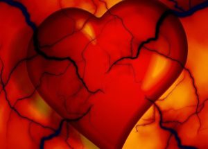 Broken Hearts Lead To Heart Tissue Damage, Study Says