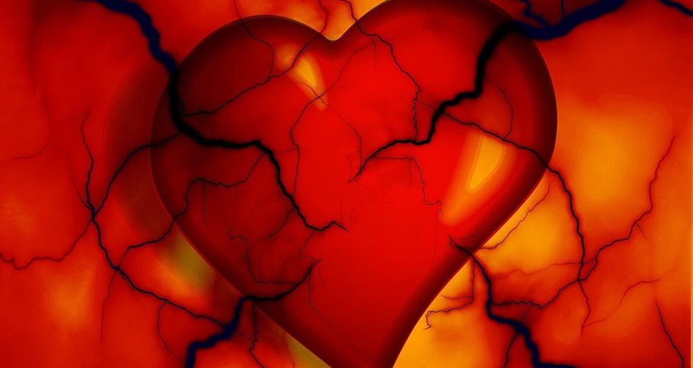 Broken Hearts Lead To Heart Tissue Damage, Study Says