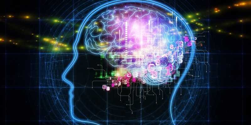 Chronic Pain Can Be Treated By Remodeling Brain Circuits, Study Says