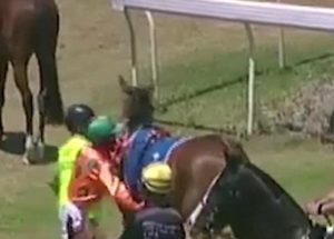 Video Of Jockey Hitting His Horse Goes Viral