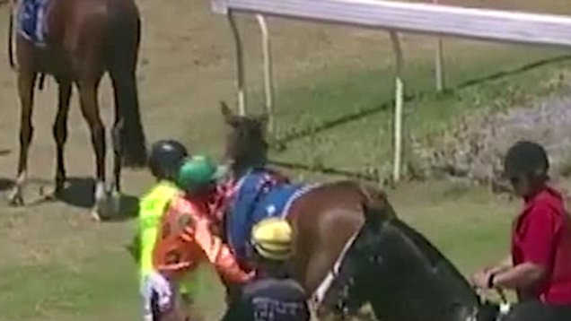 Video Of Jockey Hitting His Horse Goes Viral