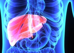 Liver Disease and Blood Tests – The Normal Levels Of AST and ALT