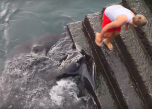 This Boy Was Near the Edge of the Water and Then Something Splashed Around His Feet