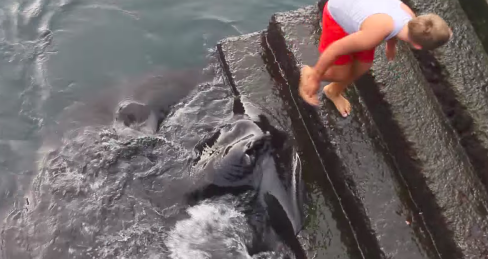 This Boy Was Near the Edge of the Water and Then Something Splashed Around His Feet