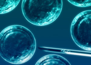 Growing Neural Stem Cells in 3D Stacks Can Cure Spinal Cord Injuries and Cancer