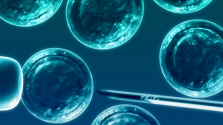 Growing Neural Stem Cells in 3D Stacks Can Cure Spinal Cord Injuries and Cancer