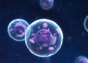 New Study Shows That Proteins Can Conduct Electricity