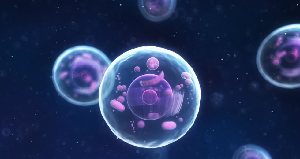 New Study Shows That Proteins Can Conduct Electricity