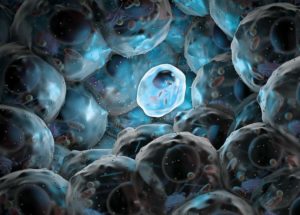 Stem Cells Can Restore Hearing But They Might Cause Cancer