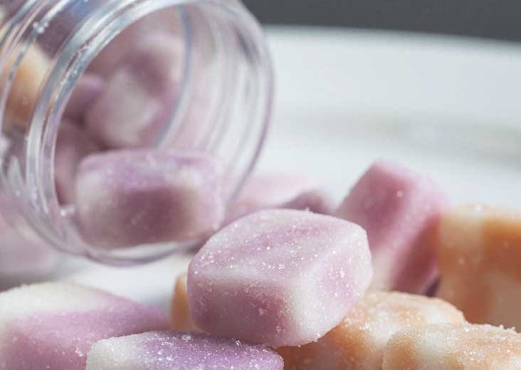 The Serum Iron Test: All You Need to Know About It and the Results