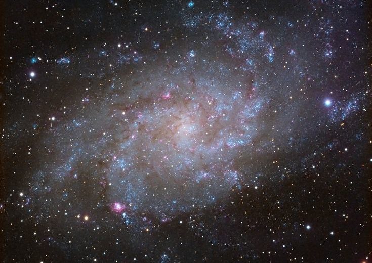 Analyzing the Properties of 1,600 Distant Galaxies Unveils Unprecedented Details