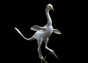 New Discovery of a Fossil Looking More like a Duck-Dinosaur