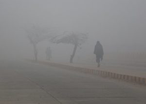 Pollution is Why Children Risk Brain Damage, UNICEF Reports