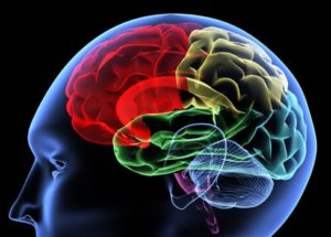 Curing Alzheimer’s Seems Impossible After The Latest Drug Failed In Trials