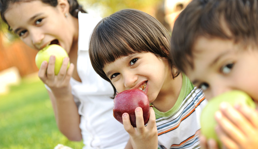 Recommended Diet Tips For Children With ADHD