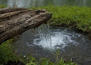 “Raw Water” Has The Dubious Honor of Being 2018’s First Quack Health Trend