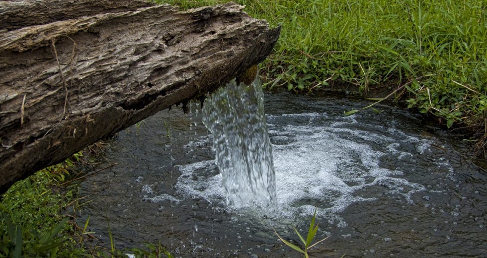 “Raw Water” Has The Dubious Honor of Being 2018’s First Quack Health Trend