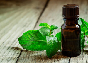 Peppermint Decreases Appetite And Is Ideal For Losing Weight, Study Says